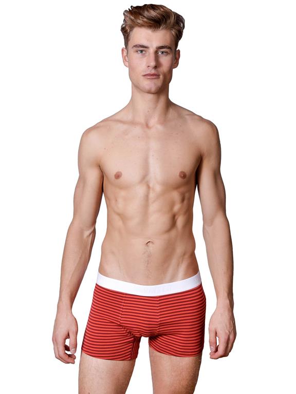 Boxer Shorts Tim Red Stripes 1