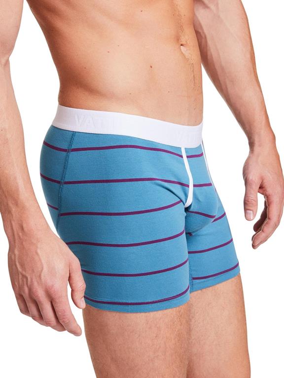 Boxer Shorts Claus Blue/Purple Stripes 3