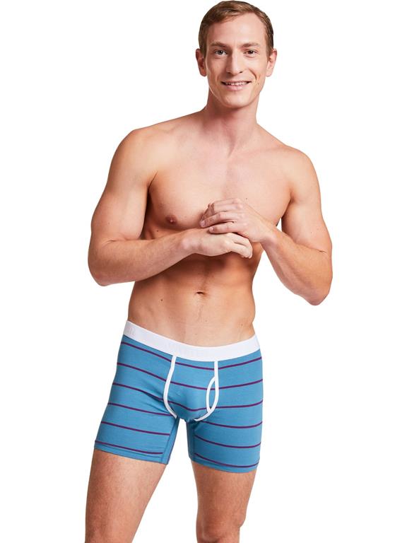 Boxer Shorts Claus Blue/Purple Stripes 4