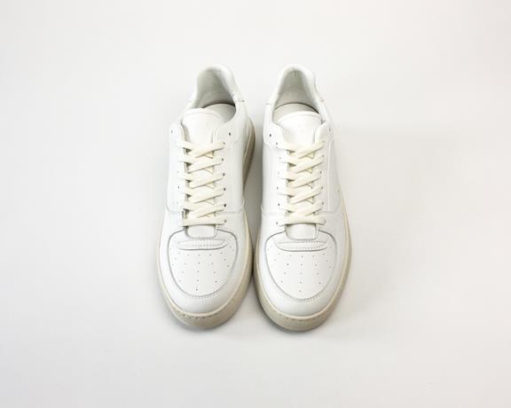 Sneaker Eden White 4