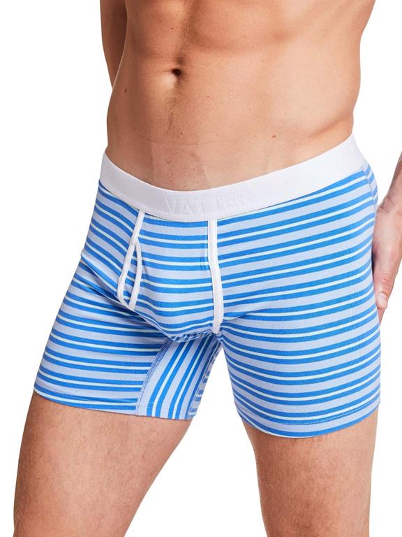 Boxer Shorts Claus Blue / Mint Stripes 5