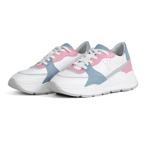 Sneakers Goodall Ii White / Blue / Pink 2