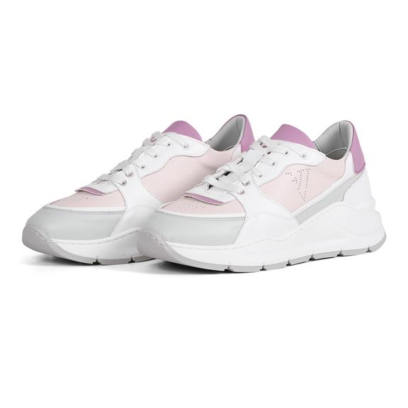 Sneakers Goodall Ii Light Grey / Light Pink / White 2