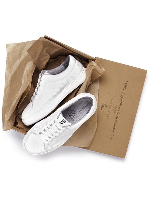Sneakers Biodegradable Knit Wit from Shop Like You Give a Damn