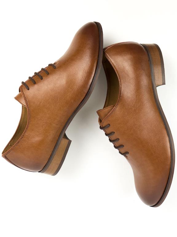 Oxfords 81 Brown 4