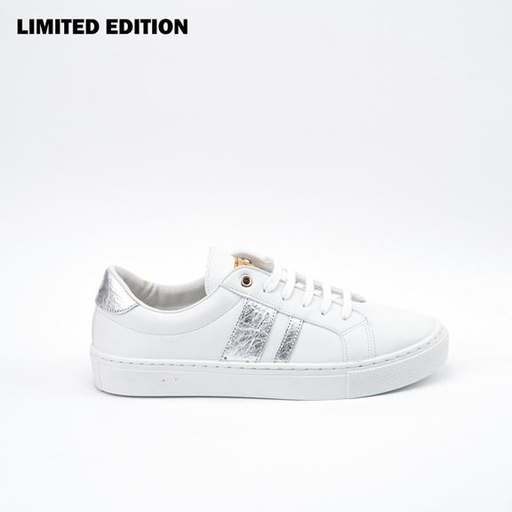 Sneakers Ames Precious Platinum van Shop Like You Give a Damn