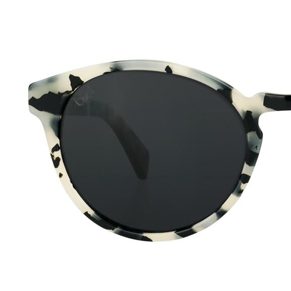 Sunglasses Kaka Snowy Owl Black Cream 4