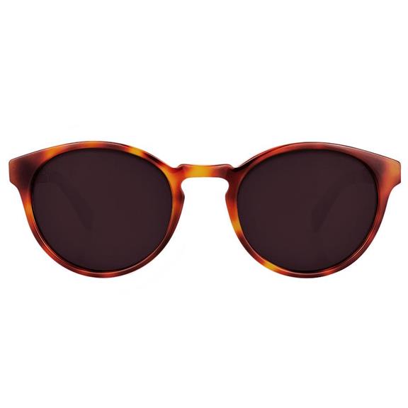 Sunglasses Kaka Caramel 2