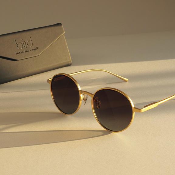 Sunglasses Luna Gold Color 7