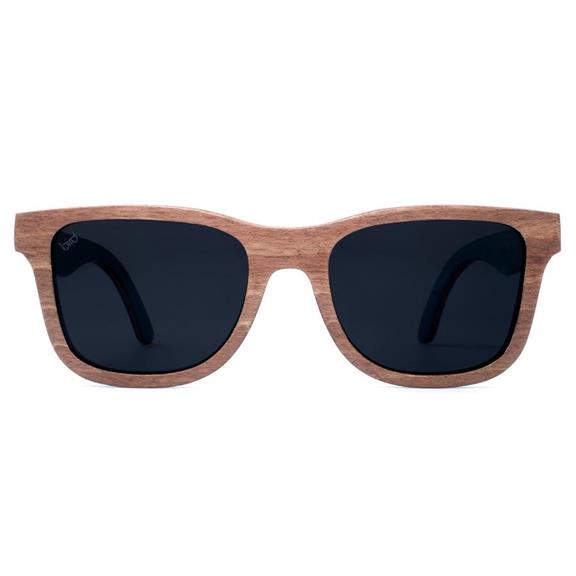 Sunglasses Petrel Brown 1