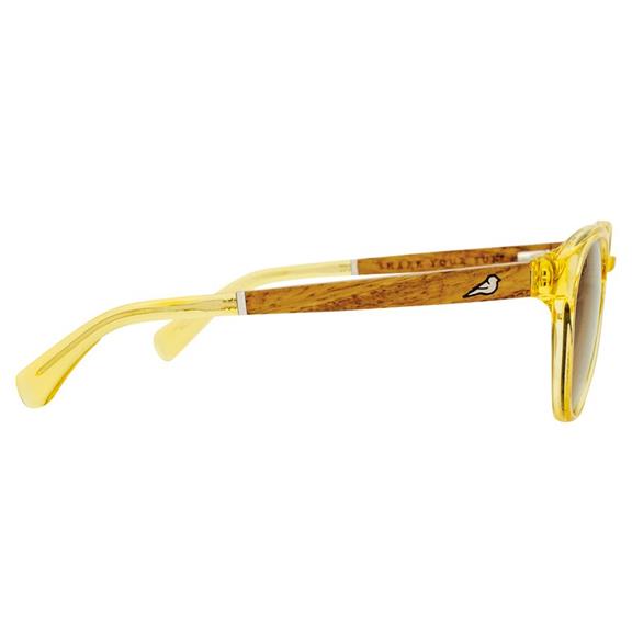 Sunglasses Kaka Agave Yellow 4