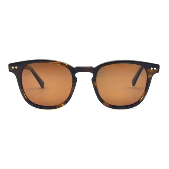 Sunglasses Soder Black / Brown 2