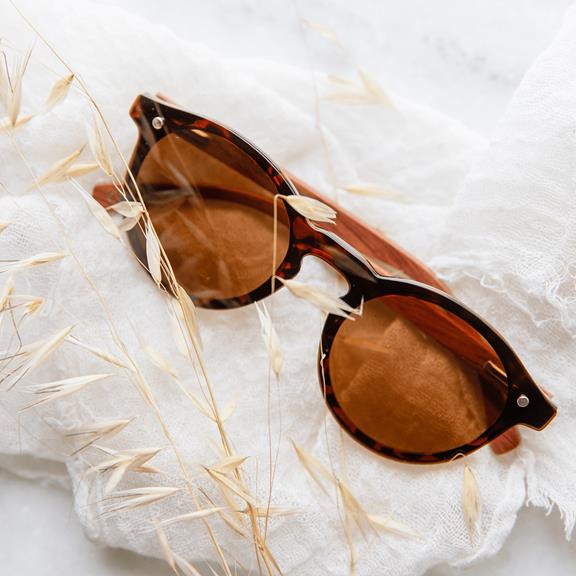 Sunglasses Alona Black / Brown 3