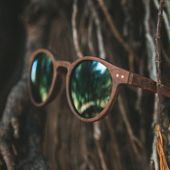 Sunglasses Stinson Wood 16