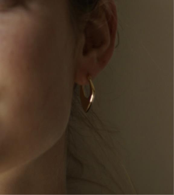 Earrings Noa Silver Gold Plated 4