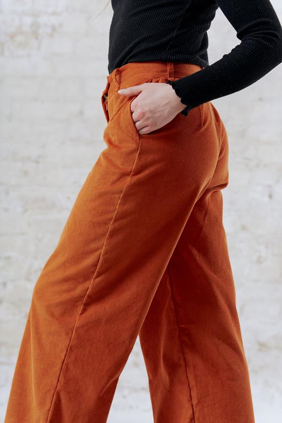 Pants Suhrutam Amber Orange 4