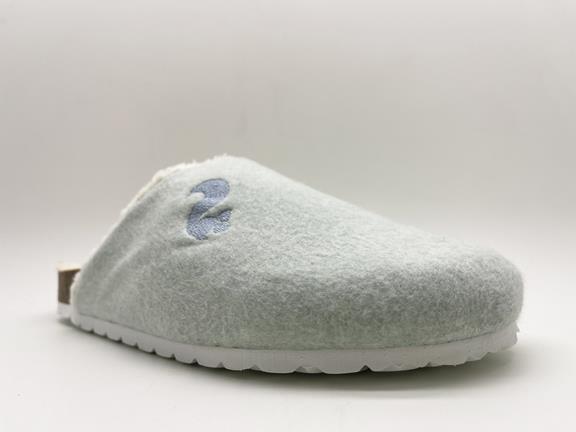Furry Lined Clogs Mint 3
