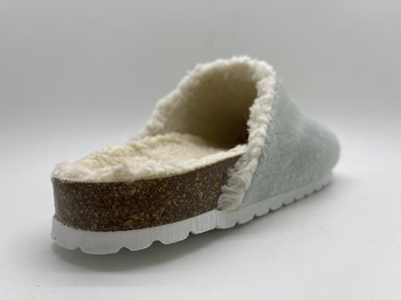 Furry Lined Clogs Mint 4