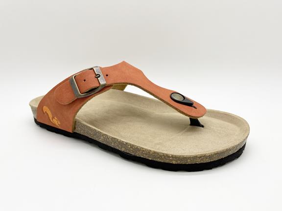 Teenslippers Roest 3