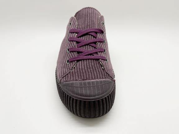 Sneakers Cord Low Purple 5