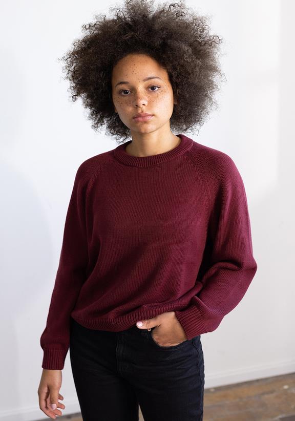 Knitted Sweater Smutje Burgundy 2