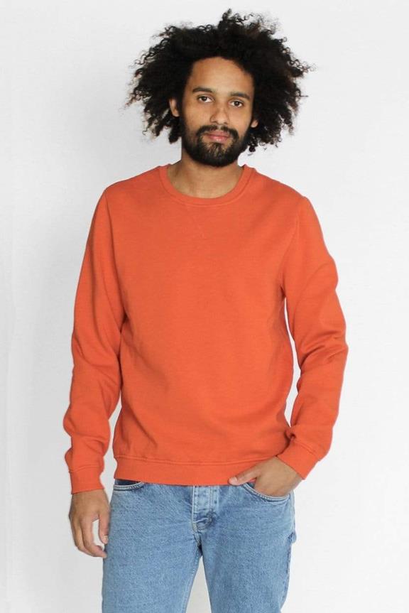 Sweater Brian Orange 1
