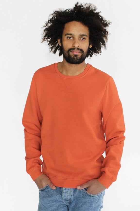 Sweater Brian Orange 2