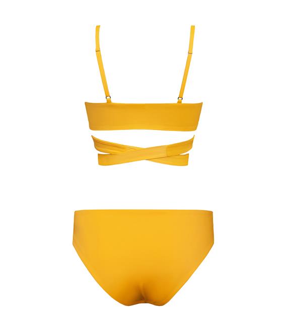 Bikini Lin + Core Yellow 6