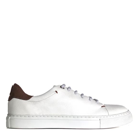 Sneakers Sammy White Taupe 7